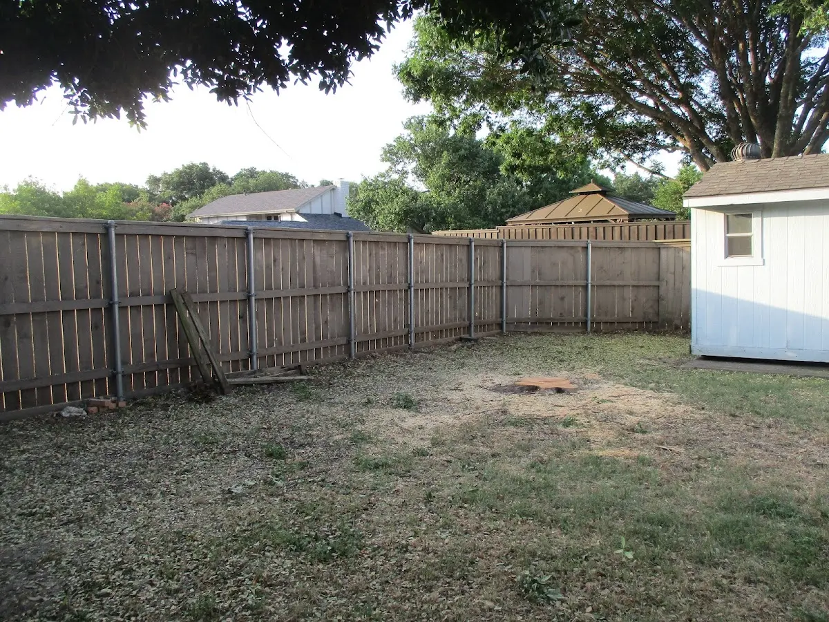 Cleared yard after professional tree removal in Cooperstown